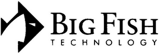 BIG FISH TECHNOLOGY logo