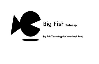 BIG FISH TECHNOLOGY BIG FISH TECHNOLOGY FOR YOUR SMALL POND. logo