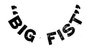 "BIG FIST." logo