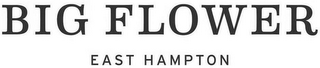 BIG FLOWER EAST HAMPTON logo