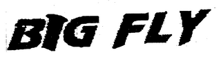 BIG FLY logo
