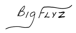 BIG FLYZ logo