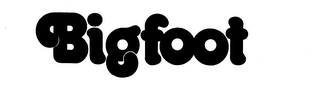 BIG FOOT logo