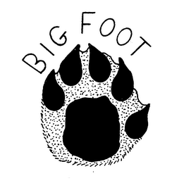 BIG FOOT logo