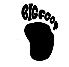 BIG FOOT logo