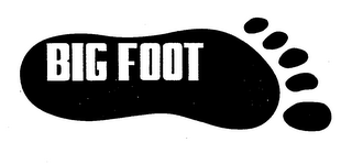 BIG FOOT logo
