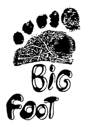 BIG FOOT logo
