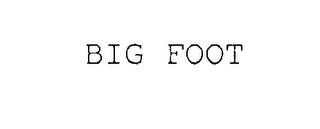BIG FOOT logo