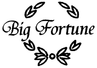 BIG FORTUNE logo