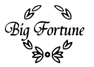BIG FORTUNE logo