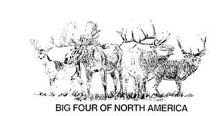 BIG FOUR OF NORTH AMERICA logo