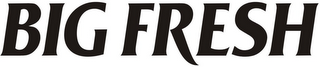 BIG FRESH logo