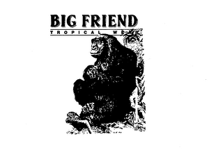 BIG FRIEND TROPICAL WEAR logo