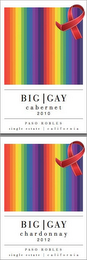BIG GAY logo