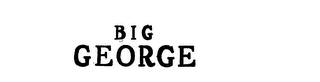 BIG GEORGE logo