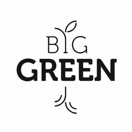 BIG GREEN logo