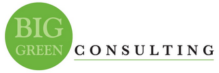 BIG GREEN CONSULTING logo