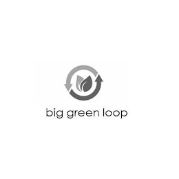 BIG GREEN LOOP logo