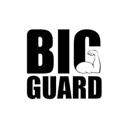 BIG GUARD logo
