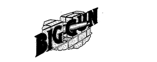 BIG GUN logo