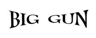 BIG GUN logo