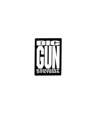 BIG GUN EXHAUST SYSTEMS logo