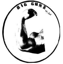 BIG GUNZ logo