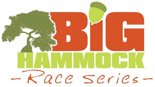 BIG HAMMOCK RACE SERIES logo