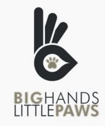 BIG HANDS LITTLE PAWS logo