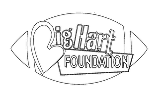 BIG HART FOUNDATION logo