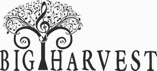 BIG HARVEST logo