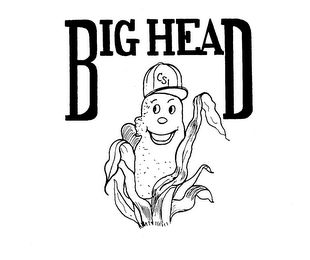 BIG HEAD CSI logo