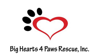 BIG HEARTS 4 PAWS RESCUE, INC. logo