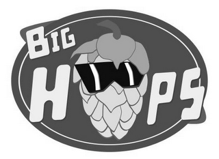 BIG HOPS logo