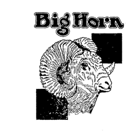 BIG HORN logo