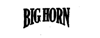 BIG HORN logo