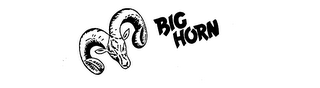 BIG HORN logo