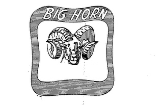 BIG HORN logo