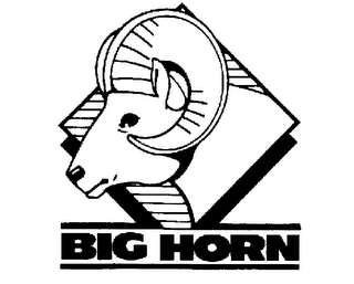 BIG HORN logo