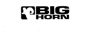 BIG HORN logo