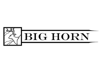 BIG HORN logo