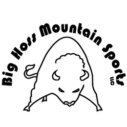 BIG HOSS MOUNTAIN SPORTS LLC logo