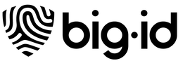 BIG ID logo
