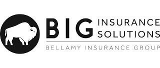 BIG INSURANCE SOLUTIONS BELLAMY INSURANCE GROUP logo
