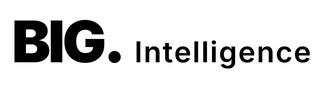 BIG. INTELLIGENCE logo