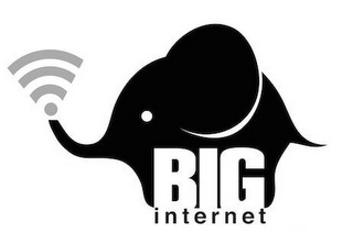 BIG INTERNET logo