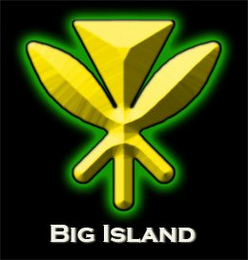 BIG ISLAND logo