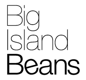BIG ISLAND BEANS logo
