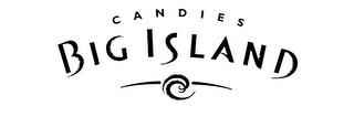 BIG ISLAND CANDIES logo