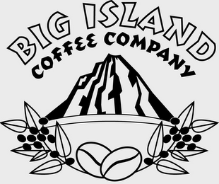 BIG ISLAND COFFEE COMPANY logo